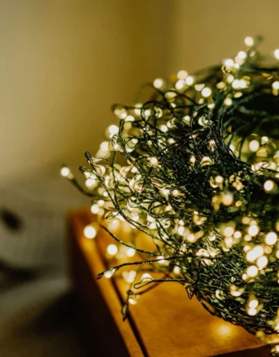 ДИОДНАЯ НИТЬ ХВОЙНАЯ ЛАПА