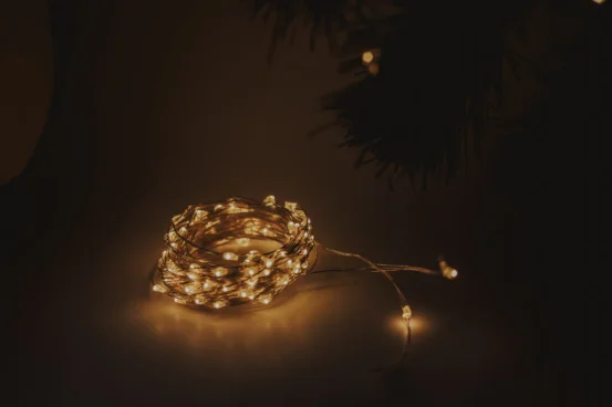 Диодная нить/роса (сеть, батарейка)