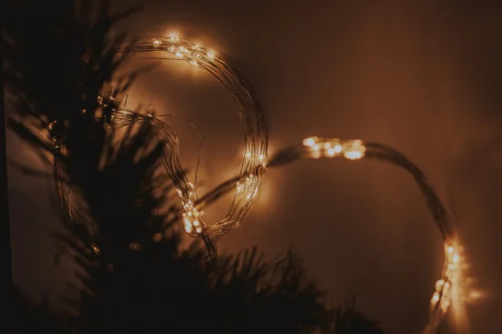 Диодная нить/роса (сеть, батарейка)