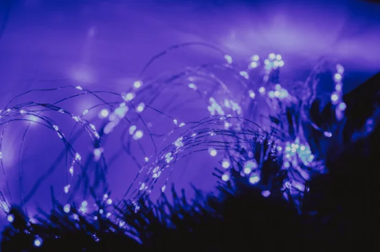 Диодная нить/роса (сеть, батарейка)