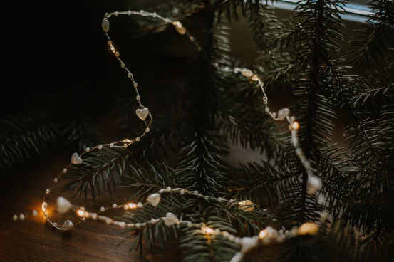 Диодная нить (фигурная)