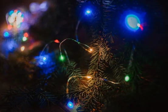 Диодная нить/роса (сеть, батарейка)