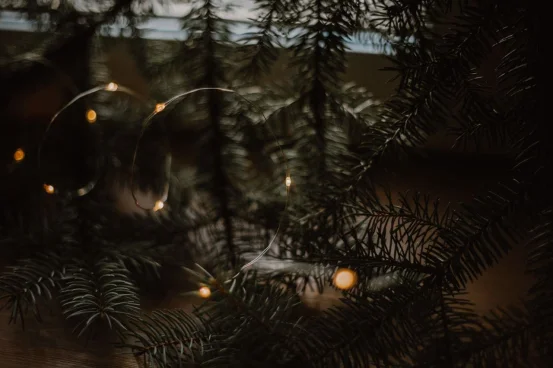 Диодная нить/роса (сеть, батарейка)