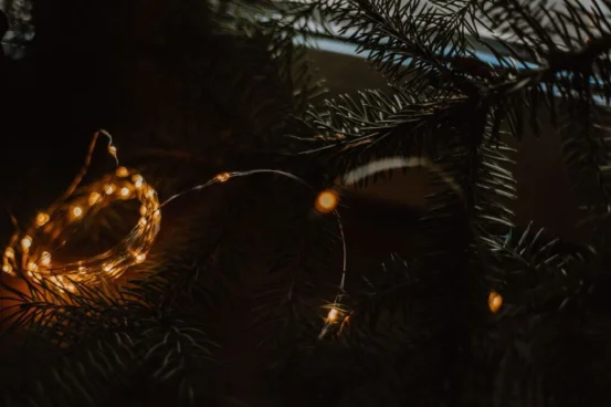 Диодная нить/роса (сеть, батарейка)