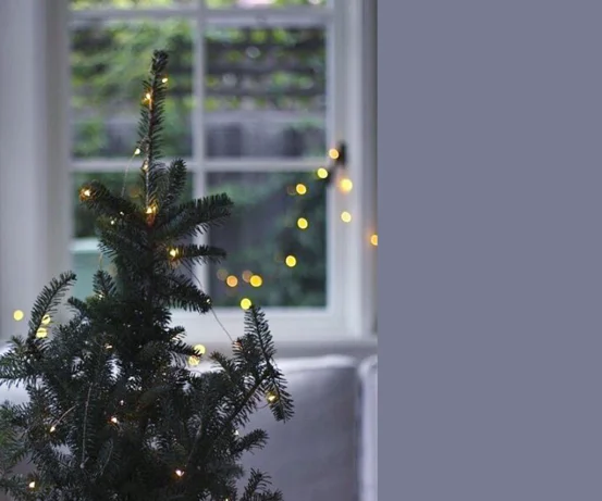 Диодная нить/роса (сеть, батарейка)